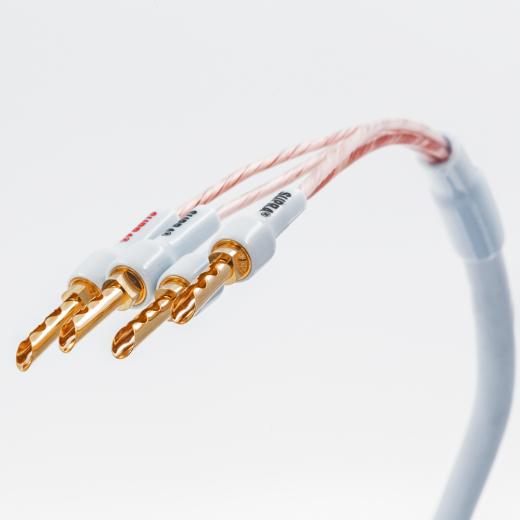 XL ANNORUM BI-WIRE COMBICON SUPRA CABLES 