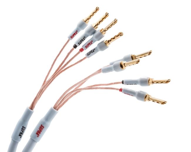 XL ANNORUM BI-AMP COMBICON SUPRA CABLES