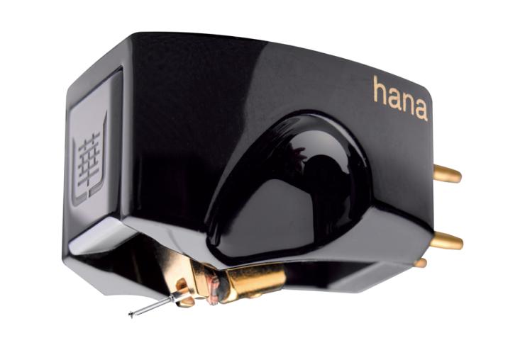 Testina Hana Umami Black