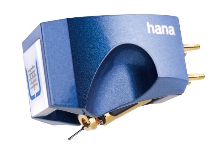 Testina Hana Umami Blue