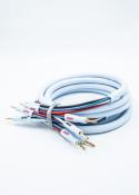 QUADRAX 2X4.0 COMBICON