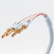 XL ANNORUM BI-WIRE COMBICON SUPRA CABLES 