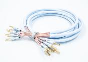 XL ANNORUM BI-WIRE COMBICON SUPRA CABLES 