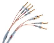 XL ANNORUM BI-AMP COMBICON SUPRA CABLES