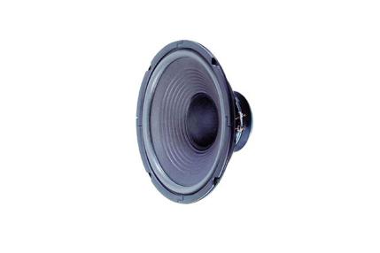 visaton w250 speaker